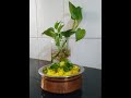 How To Make Simple And Easy Vaghareli Vegetable Khichdi