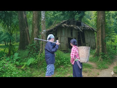 freundliche Frau schenkt einer alleinerziehenden Mutter ein Haus im Wald – ein neues Leben beginnt.
