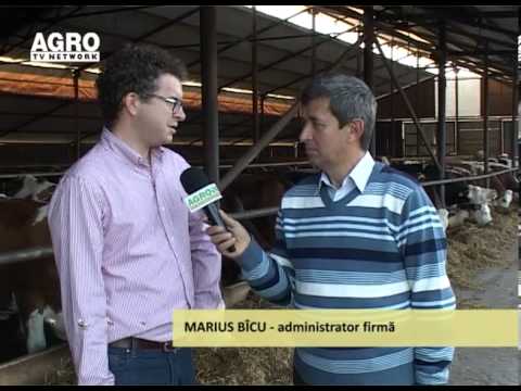 Realitati 27 oct partea 3B obsesia investitorilor calitate si pret bun