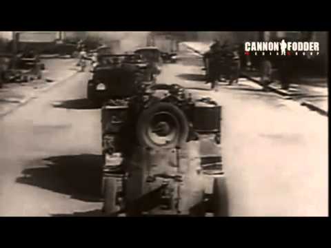 Rotmistrz Witold Pilecki - Ochotnik do Auschwitz