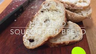 How to make #noknead #sourdough bread using toaster oven
