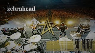 Zebrahead – So What – (Official Video)