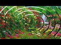 NATURE GARDEN WHATSAPP STATUS