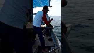 preview picture of video 'ViVa Ayah Mancing Mania'