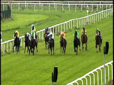 Galopprennbahn Dresden - 25.10.2014 - 6.Rennen