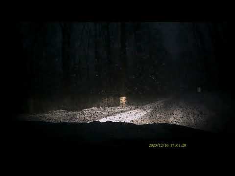 Snow Ride in Winter_Wonderland in Cumberland County PA 12-17-2020 Part-10