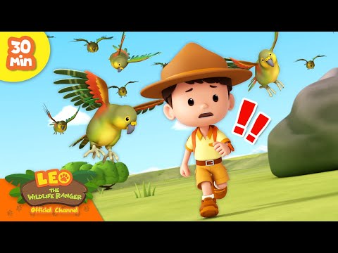 Witness21 Editor  2024 02 01