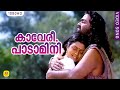 കാവേരീ, പാടാമിനി | Kaaveri Padamini | Raajashilpi | Malayalam Film Song