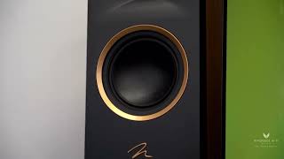 Video thumbnail for Martin Logan Motion XT F100 Speakers #speakers #luxury by Riverside HiFi
