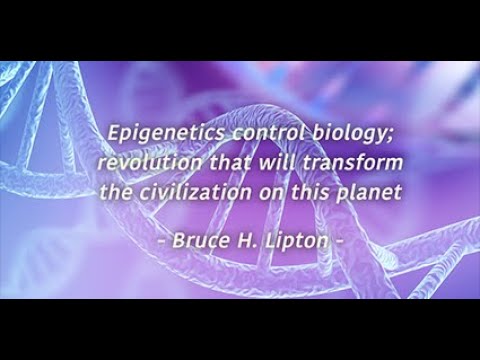 (workshop deel 3) Epigenetica