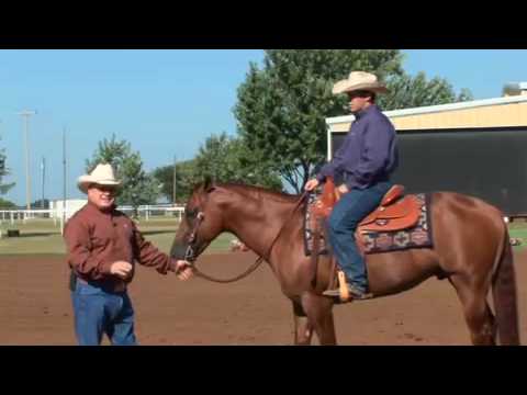 Tim McQuay - Pro Tip: Reins