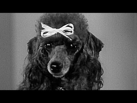 Dragnet - Season 4 - Episode 20 - The Big Family