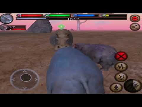 Hippo VS Zebra Cheetah Lion Crocodile Hippo Rhino Elephant Warthog Cheetah