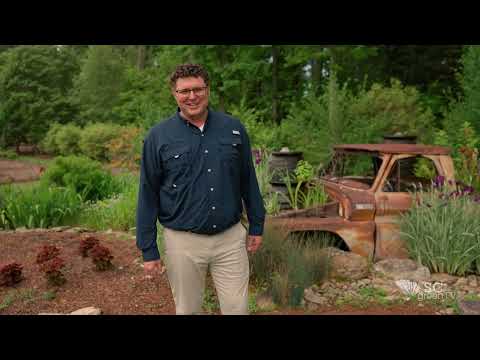 Frame from What It’s Really Like to Intern at a Botanical Garden
