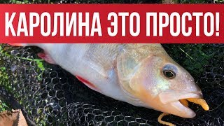 Заброс с каролинской оснасткой