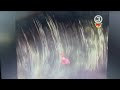 Finding Nemo Inside The Whale Latvian TV Dub Full Screen