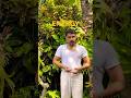 Your Healing Hands PrashantjYoga Pranayamaforbeginners Reiki Pranayama