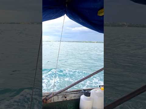 Costas del Golfo de Guacanayabo #cuba #manzanillo #granma #pesca #travel #marino #cubanosporelmundo