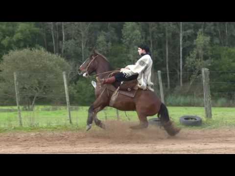 Lote 12 - Las Callanas Incauto