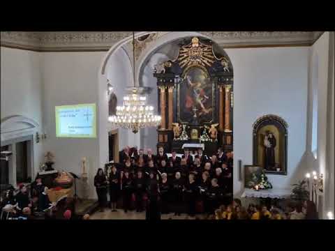 Ave Maria - Himna Fatimskoj Gospi - Župni mješoviti zbor "Sv. Cecilija" Donji Miholjac