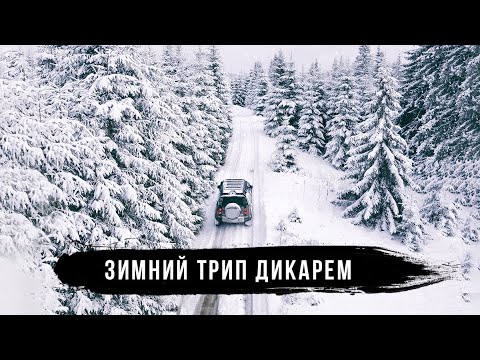 Полесье - зимнее путешествие дикарем на Land Rover Defender. Часть 2