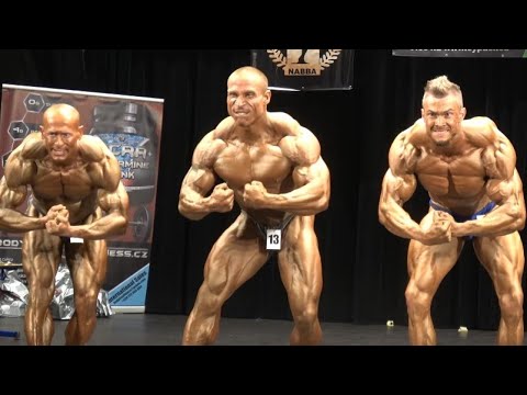 NABBA Czech Toro Cup 2016 - Men Overall Comparisons