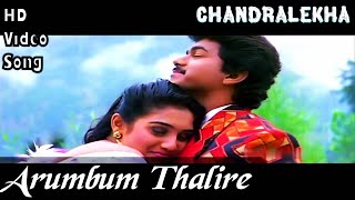Arumbum Thalire  Chandralekha HD Video Song + HD A