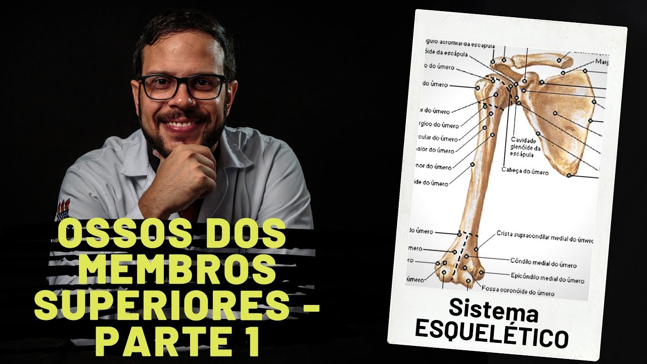 SISTEMA ESQUELÉTICO: OSSOS DOS MEMBROS SUPERIORES - PARTE 1 - AULA PRÁTICA COM PROF. ANDRÉ OLIVEIRA