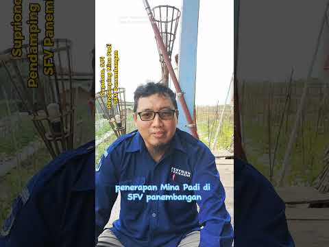 Penerapan Mina Padi di Smart Fisheries Village SFV Desa Panembangan