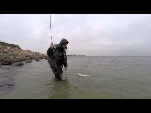 beaten this morning by Etienne from Netherlands