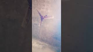 Download lagu 1 November 2023 mp3