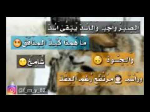 الصبر واجب والأسد يبقى أسد