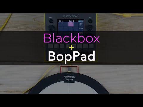 Video ID eZjuED5XHew