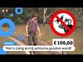 Boswachters: laat de wolven met rust