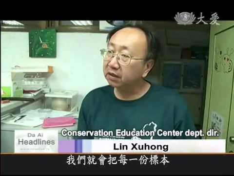 DaAiTV_DaAiHeadlines_20110628_Cataloguing beautiful moths