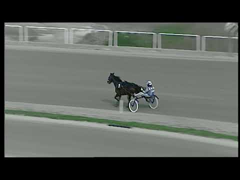 Trotto 04/12/2020 - prova di riqualifica