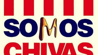 Contestacion a Molotov   Soy Chiva Rayada   YouTube