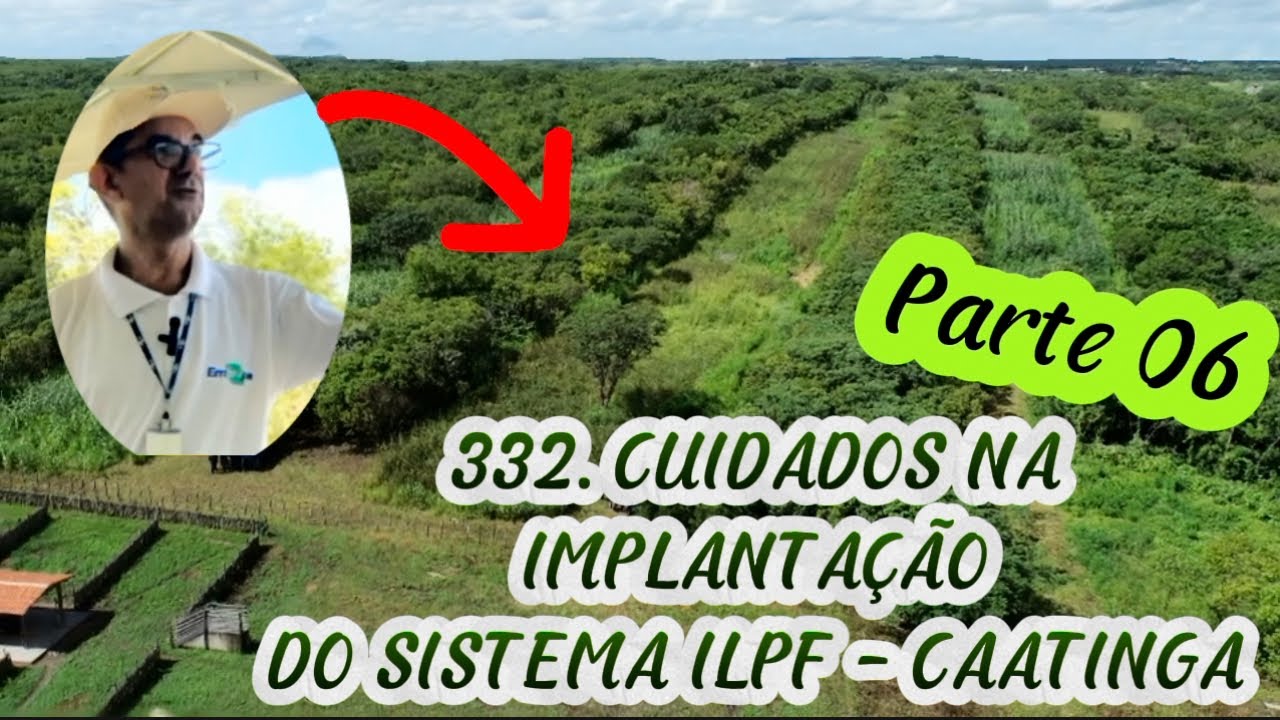332. CUIDADOS NA IMPLANTAÇÃO DO SISTEMA ILPF - CAATINGA (Parte 06)