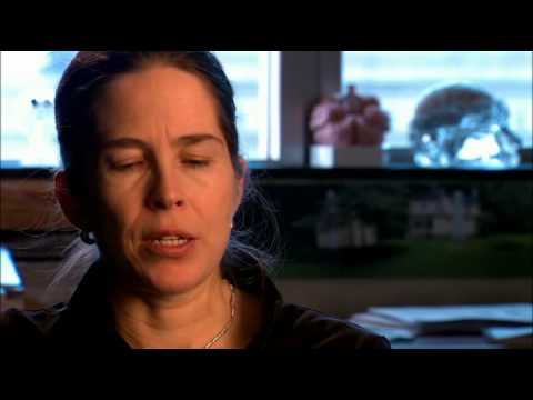 Cerebro: El organo de la sabiduria Vol. 3 Genio por accidente