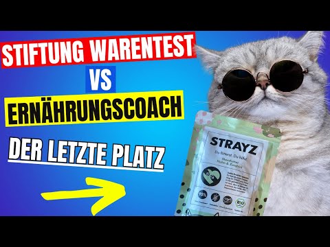 Stiftung Warentest Flop: Warum Strayz Katzenfutter versagt – Ein Ernährungsberater klärt auf!