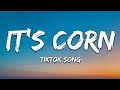 it's corn kid tiktok song | it's corn a big lump of knobs