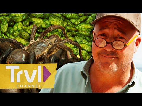 Andrew's BUGGIEST Dishes 🐜 | Bizarre Foods with Andrew Zimmern | Travel Channel