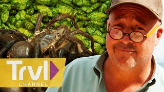 Andrew's BUGGIEST Dishes 🐜 | Bizarre Foods with Andrew Zimmern | Travel Channel
