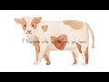 La Vaca Mariposa/ El Becerrito - Simón Díaz (cover mujer)