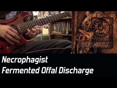 Necrophagist - Fermented Offal Discharge Guitar Solo