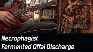 Necrophagist - Fermented Offal Discharge Guitar Solo