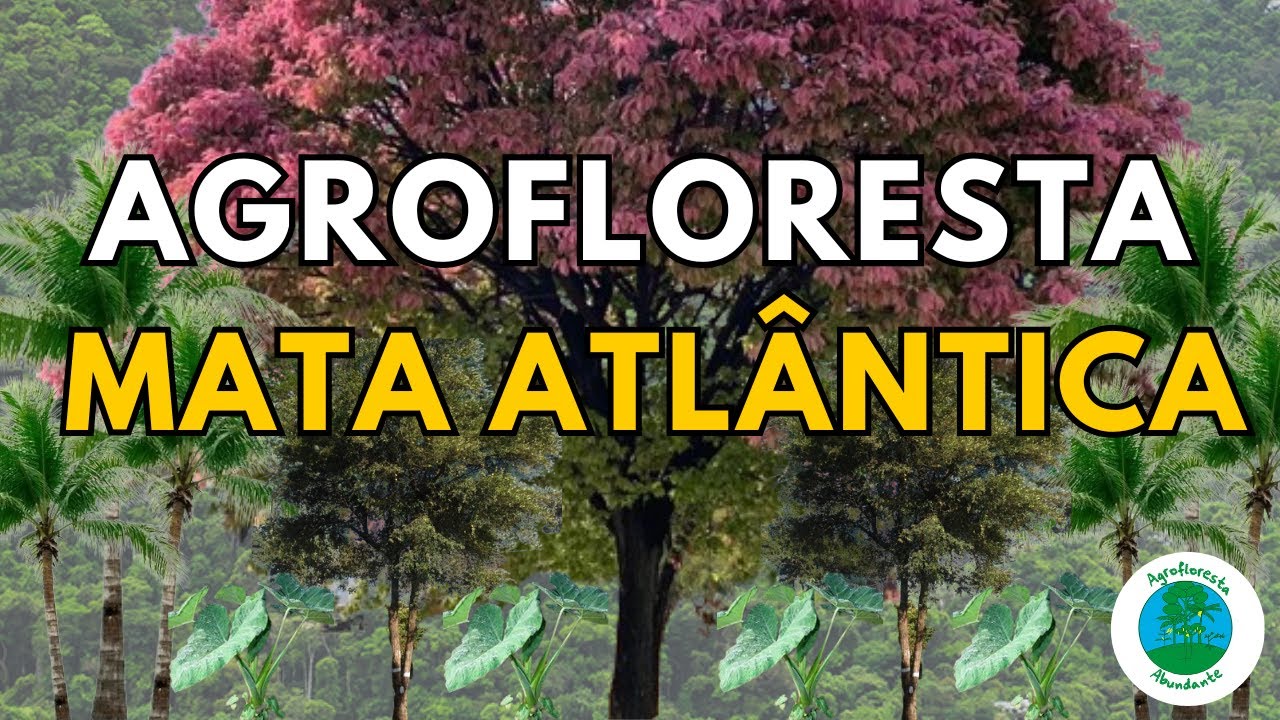 Agrofloresta na Mata Atlântica com Espécies Nativas