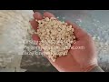 White Beans Peeling Machine How To Remove White Bean Skin How To Separate The Skin From The Beans