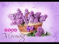 Good Morning With Mauve Flowers
