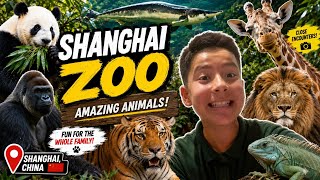 Shanghai Zoo 🇨🇳🐼 | Exploring One of Shanghai, China`s Most Famous Attraction!!